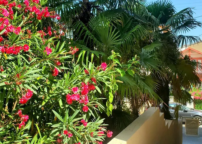 Rose Des Sables * Arcachon