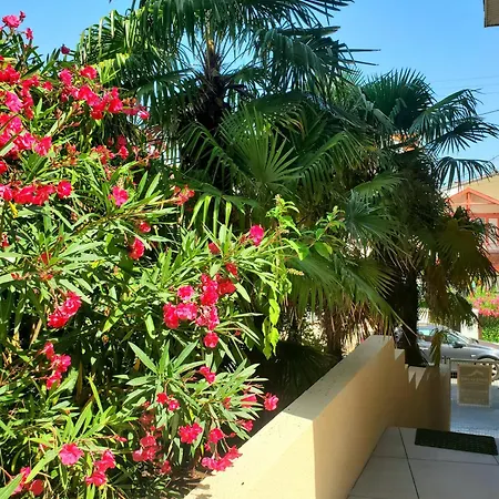 Rose Des Sables * 阿卡雄